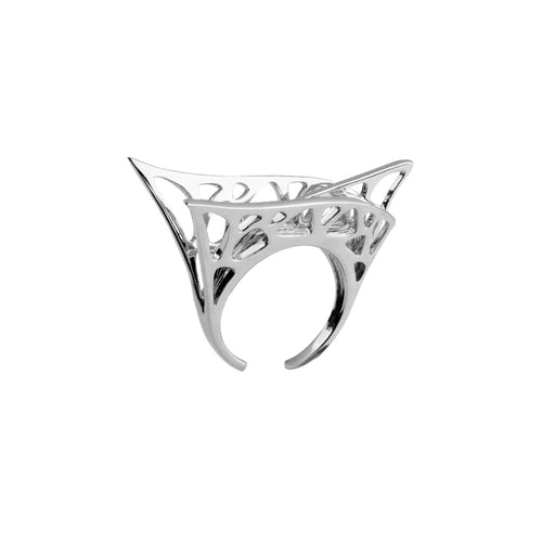 PARALLEL UNIVERSE RING